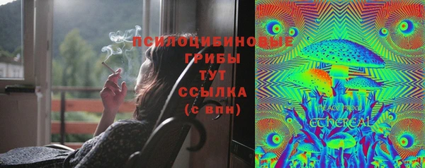дживик Белоозёрский